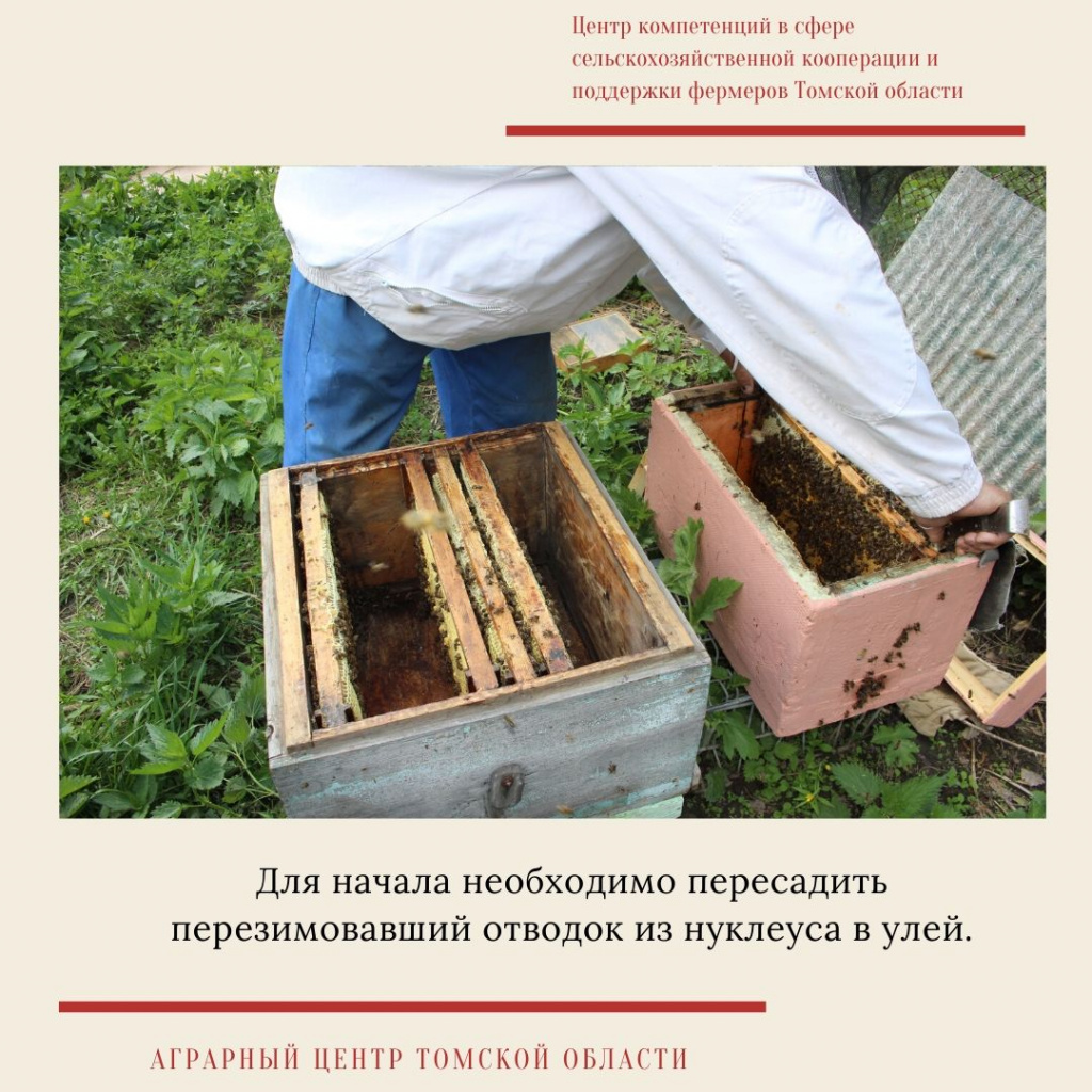 мастер-класс  4.jpg
